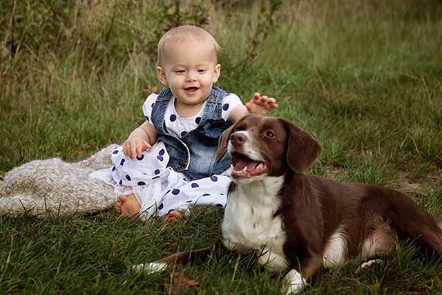 ClicArt Mascotas-Socializar-640x427